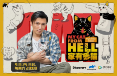 《家有恶猫》中国版重磅来袭，超强阵容带你破译喵星